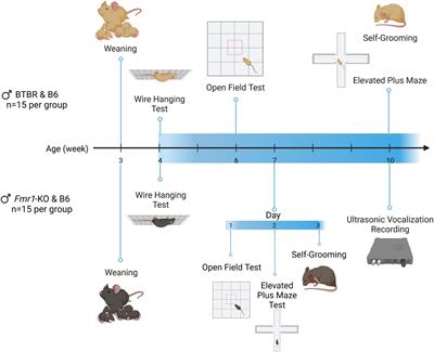 Evaluating the effect of R-Baclofen and LP-211 on autistic behavior of the BTBR and Fmr1-KO mouse models